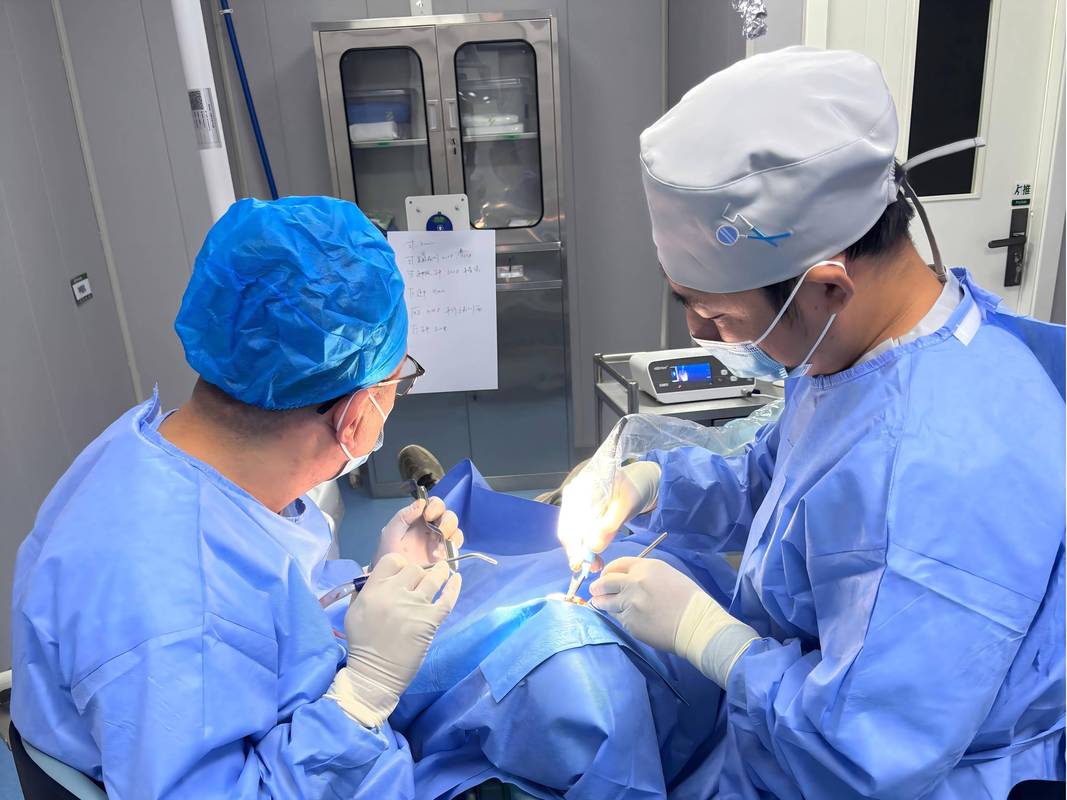 外科种牙手术-图2
