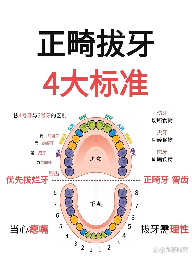 正畸为何要末端回弯-图1