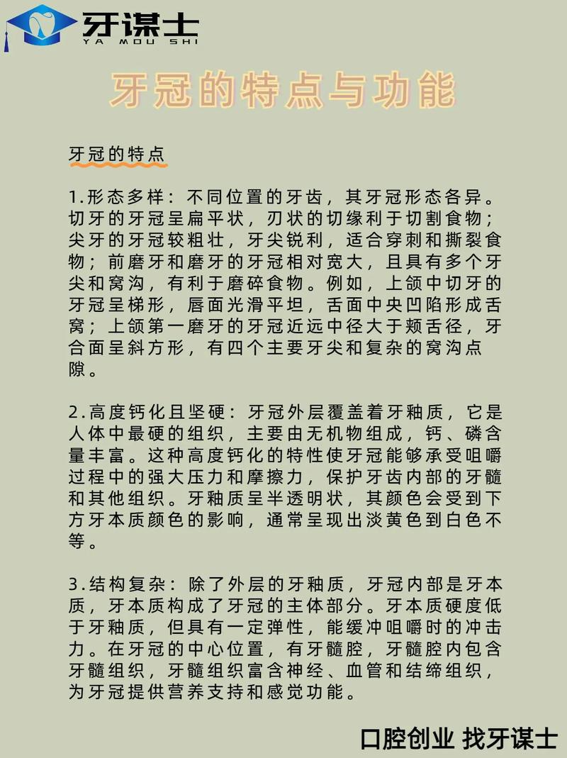 为什么正畸要临时冠-图2