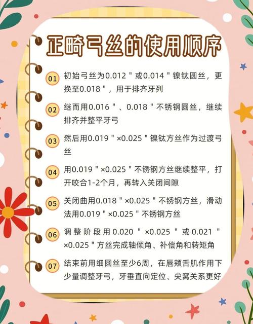 牙齿正畸弓丝的型号-图2