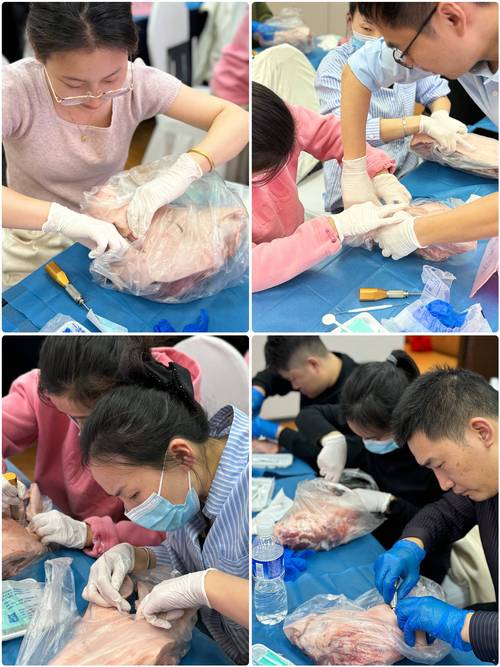 零基础正畸培训机构-图1