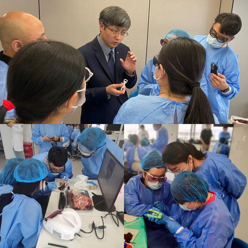 深圳口腔正畸培训班-图3