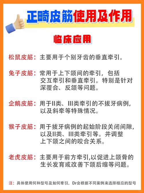 正畸挂皮筋多久手术-图3