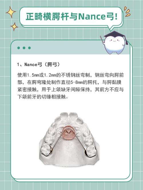 正畸横腭杆怎么刷牙-图2