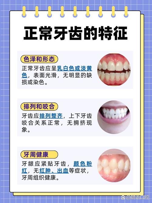 牙齿正畸期间能正常吃东西吗？-图1