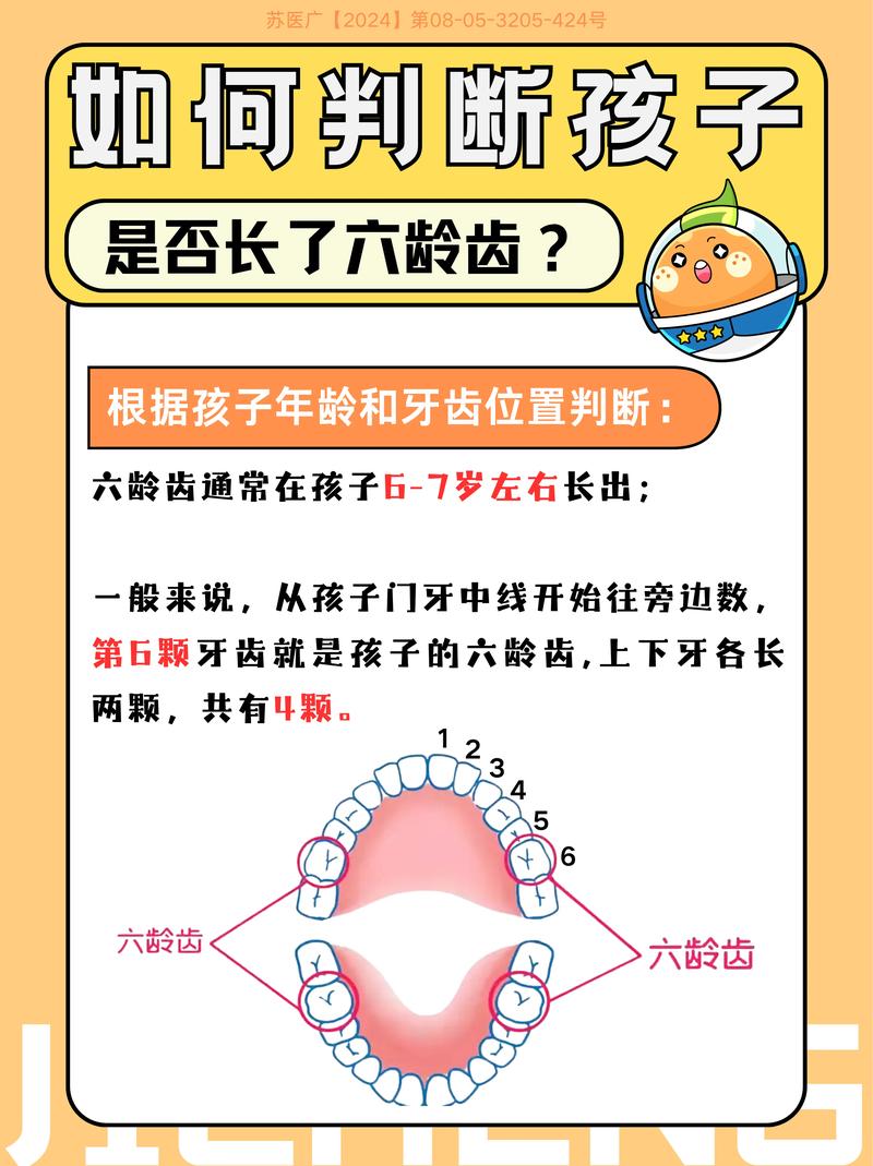 六龄牙种植还是正畸-图3