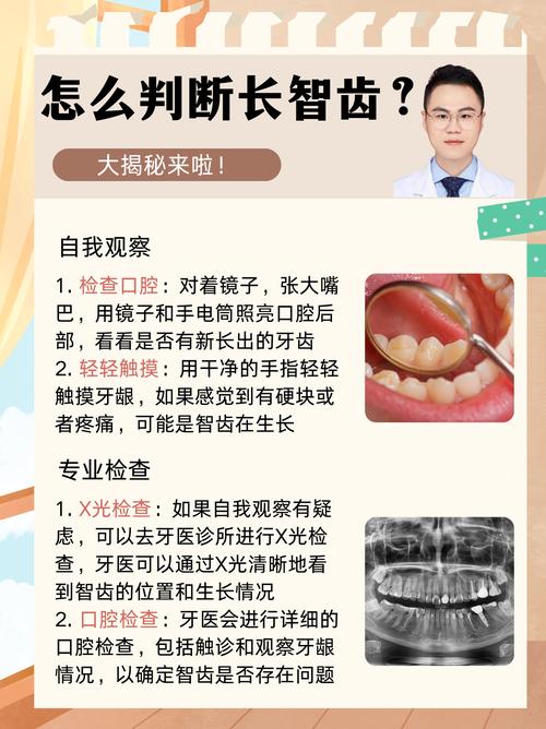 先拔智齿还是先正畸-图2