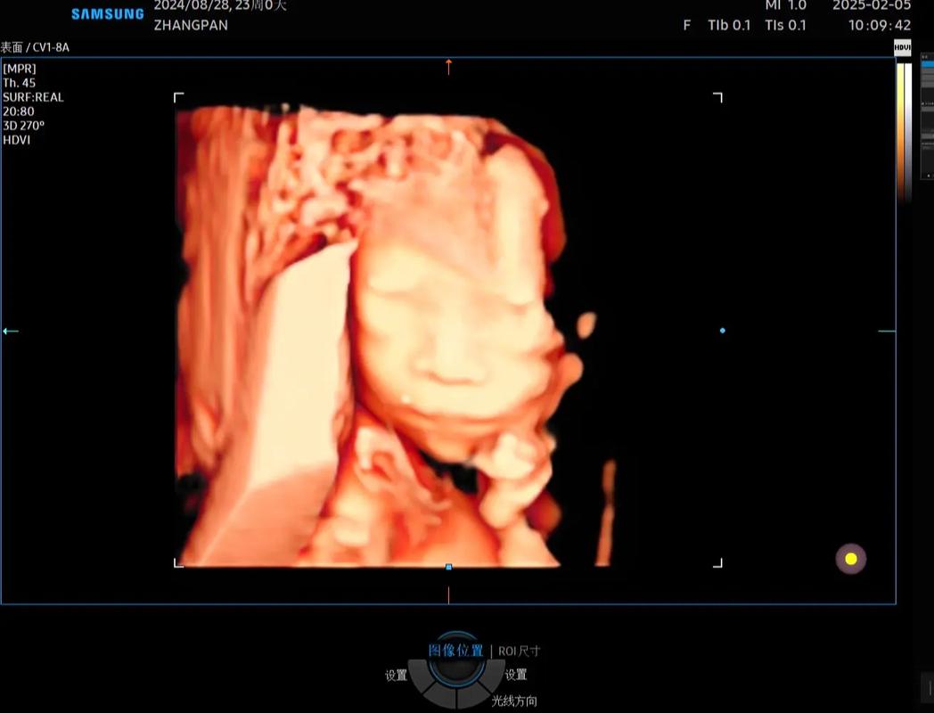 许天民著四维正畸-图3