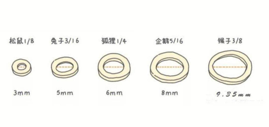 正畸橡皮圈用大了-图2