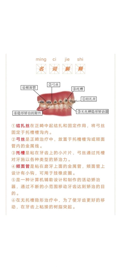 综合性正畸治疗的核心是什么?-图3 综合性正畸治疗的核心是什么?-图3