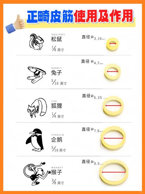 正畸弹力圈保质期-图1 正畸弹力圈保质期-图1