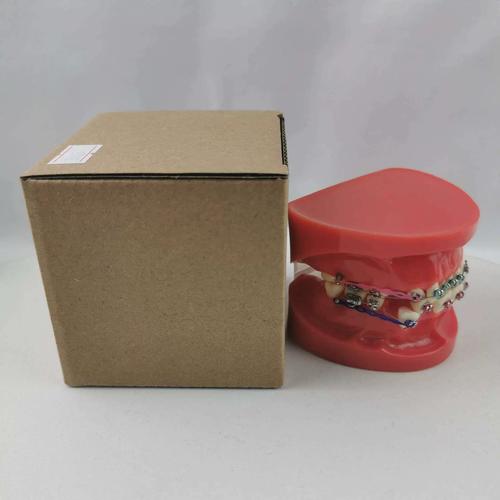 正畸咬模型多少钱-图3