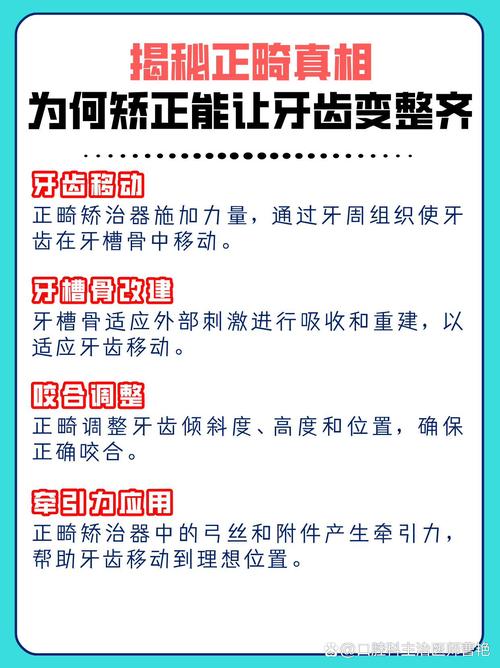 如何高效学好正畸口腔？关键方法与要点解析-图2