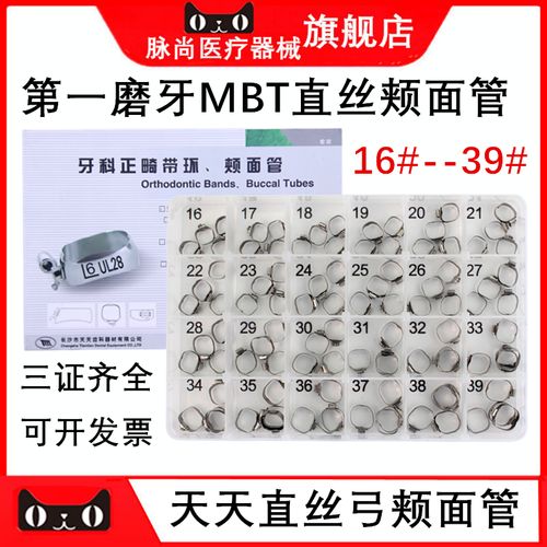 口腔正畸带环区分-图2