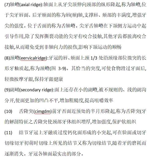 口腔O点表示正畸-图1