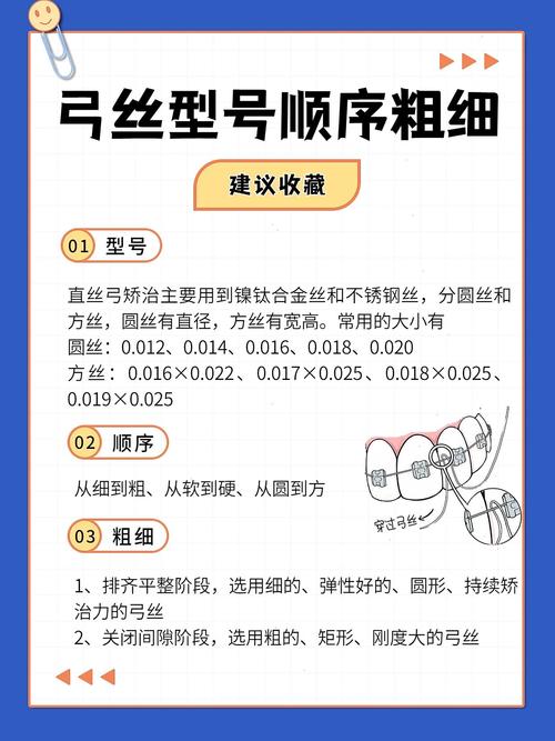正畸弓丝型号大全-图1