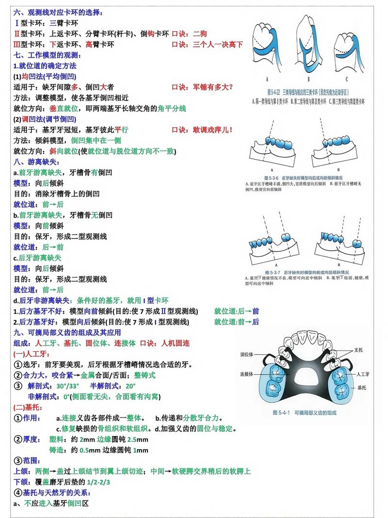 正畸带环常用规格-图3 正畸带环常用规格-图3