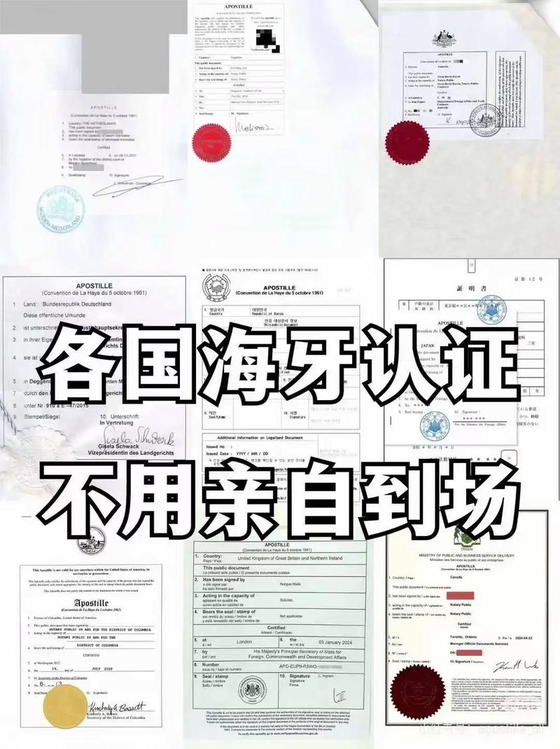 口腔正畸国际认证-图3