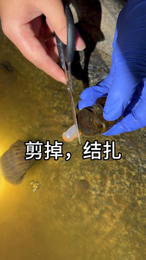 正畸连续结扎方法-图3