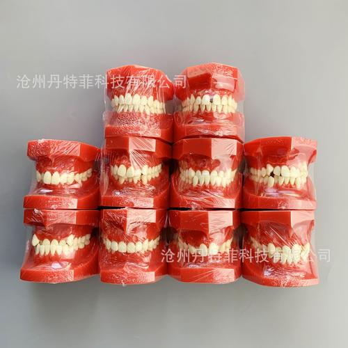 牙科正畸模型展示-图3