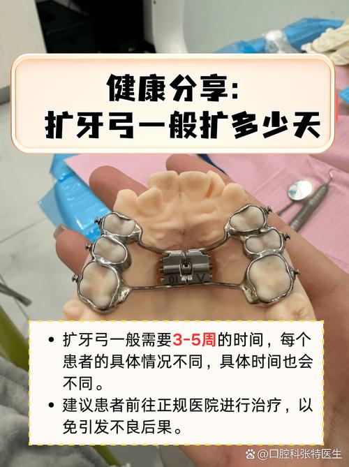 牙弓的长度 正畸-图3