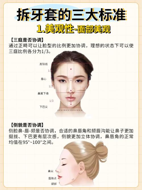 正畸力力值大小如何影响牙齿移动速度与稳定性？-图3