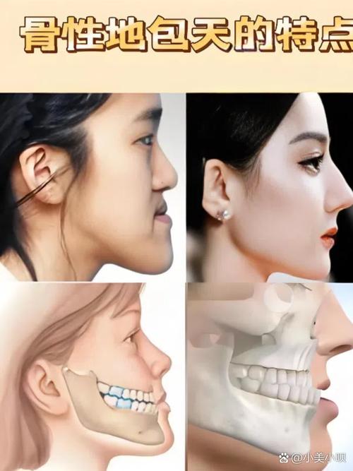 正畸治疗对颅颌面发育的作用机制何在？-图2