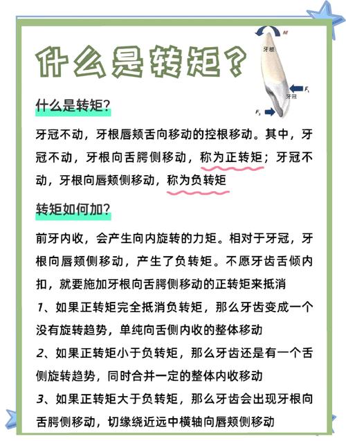 正畸知识初学者-图1