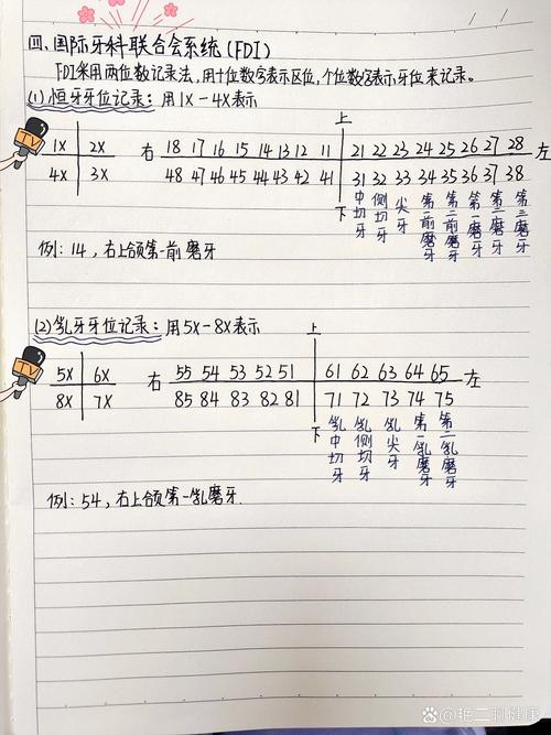 口腔正畸科笔记-图3 口腔正畸科笔记-图3