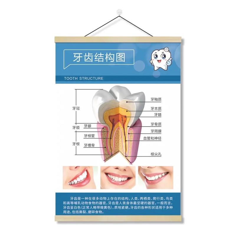 牙齿矫正该挂口腔科吗?挂号指南在此-图1 牙齿矫正该挂口腔科吗?挂号指南在此-图1