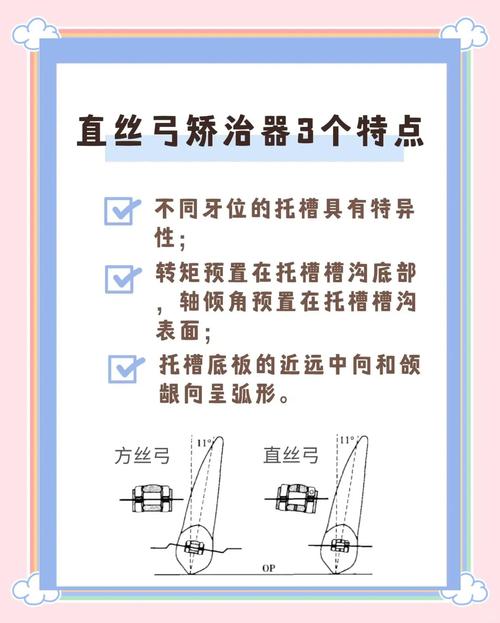 矫正牙齿换弓丝，一般要换几次？哪种更合适？-图2